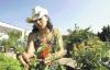 Rotem dans le capucine | Rotem in the nasturtium